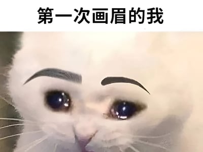 图片上方有黑色文字'第一次画眉的我'，下方是一只白猫的脸部特写。猫咪有着大而圆的眼睛，眼神显得无辜，而其眉毛被人为画上了两条粗黑的、类似人类风格的眉毛，整体画面搞笑又可爱，形象地调侃了化妆新手第一次画眉时手忙脚乱、效果不佳的窘境。