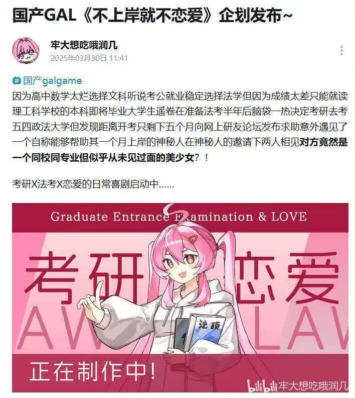 《不上岸就不恋爱》
