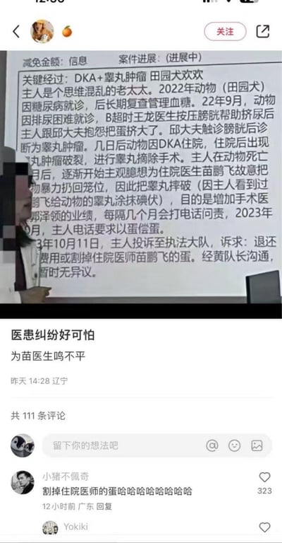 这是一张国内社交平台的截图，记录了一起荒诞的宠物医患纠纷事件：思维混乱的老太太宠物主人的田园犬欢欢因DKA和睾丸肿瘤就医，术后死亡，老太太主观臆断是医生苗鹏飞故意摔破宠物睾丸以增加手术业绩，多次问责后，在2023年10月投诉至执法大队，诉求为「退还费用或割掉住院医师苗鹏飞的蛋」。发布者配文为「医患纠纷好可怕 为苗医生鸣不平」，评论区有网友觉得诉求荒诞好笑，也有网友为医生鸣不平。
无谐音梗或双关，核心是诉求的离谱程度引发讨论。