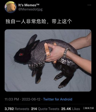 这是一张推特截图，配文“独自一人非常危险，带上这个”，图中一只红眼睛的黑色兔子被人用双手托着，身上穿戴了一件迷你锁子甲，锁子甲用棕色皮带固定，边缘还挂着一排金属环。将软萌的宠物兔子和硬核的防护装备结合，用强烈的反差感制造无厘头的搞笑效果，暗示独自出门时可以带上这只“装甲兔”来“防身”，充满趣味反差。