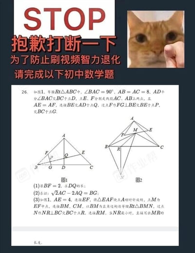 这是一张趣味互动类图文内容，顶部以醒目的红色大字“STOP”搭配“抱歉打断一下 为了防止刷视频智力退化 请完成以下初中数学题”的提示语，右上角配有一张网红橘猫被手指抵住脸部的搞笑表情包，营造出突然打断刷视频节奏的趣味效果。下方是一道完整的初中几何压轴题，围绕等腰直角三角形ABC展开，包含3个小问，分别是线段长度求解、几何等式证明、图形旋转与线段最值问题，还配有图1和图2两个辅助几何图，题目右下角带有“作业帮”的水印，整体采用竖屏手机格式，适合在移动设备上传播。