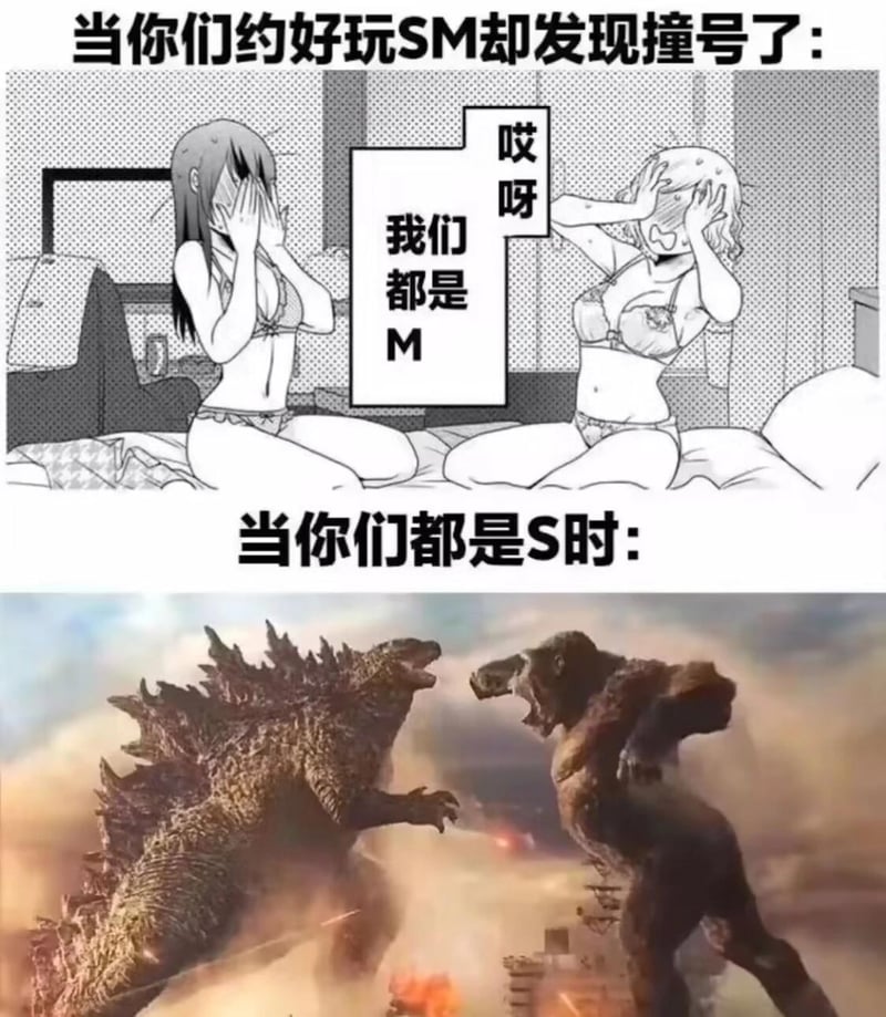 哥斯拉大战金刚