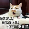 图片中是一只表情略带严肃的猫咪，背景为室内环境。猫咪上方叠加有一行中文文字：'不等认为 你长得好看 我就不欺你'，以幽默的方式表达了不以外貌评判他人态度的趣味宣言。