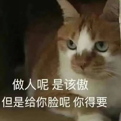 图片为一只橘白相间的猫咪特写，猫咪有着绿色的眼睛，表情严肃地直视镜头。图片下方覆盖白色文字：“做人呢 是该傲 但是给你脸呢 你得要”，传达出在保持自尊的同时也要懂得接受他人尊重的处世态度。猫咪的神态与文字内容相呼应，展现出一种既傲娇又不容置喙的气场。