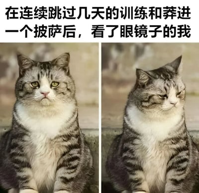 上方文字描述了连续几天不训练还吃了披萨后照镜子的场景，下方左右两张图对比同一只虎斑猫的表情——左边猫咪眼神坚定、表情严肃，右边猫咪则耷拉着眼皮、神情萎靡，生动展现了放纵后看到自己状态的懊悔与无奈。