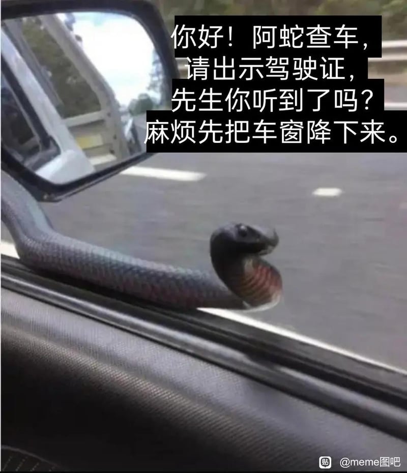 蛇