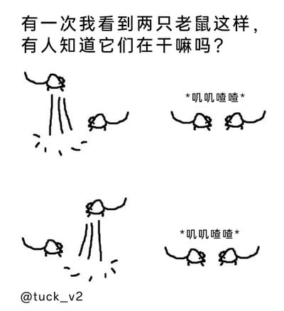 这是一幅由四格组成的原创涂鸦风格黑白卡通漫画，画面以两只简笔画老鼠为主体。漫画顶部配有文字“有一次我看到两只老鼠这样，有人知道它们在干嘛吗？”，以此引发读者对老鼠行为的猜测。四格画面依次呈现：第一格中一只老鼠高高跳起，下方带有爆炸状特效，另一只老鼠在旁；第二格两只老鼠面对面，配文“*叽叽喳喳*”，模拟它们交流的状态；第三格换另一只老鼠跳起，下方同样带有爆炸特效；第四格两只老鼠再次面对面，配文“*叽叽喳喳*”。整体风格简约诙谐，将老鼠拟人化，看起来像是两只老鼠在轮流“炸毛”发泄后，再进行对线交流，类似人类吵架时的互动模式，通过重复的行为制造趣味笑点。