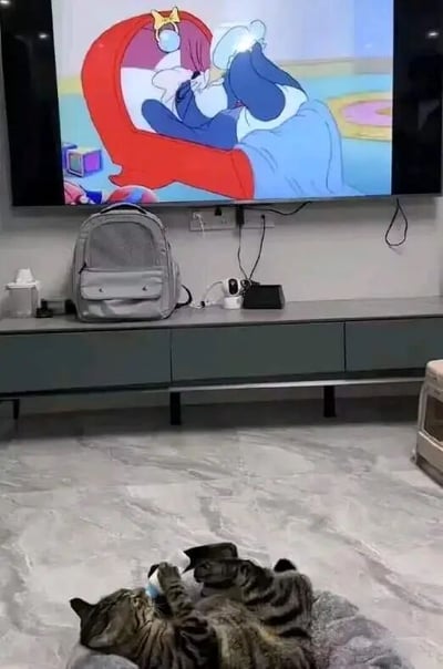 客厅场景中，墙上的电视正在播放动画片段，画面里一个戴着皇冠的蓝色角色正蜷缩在红色的床上睡觉，盖着蓝色的被子。电视下方的灰色电视柜上放着一个灰色背包、纸巾盒和路由器等小物件。地面是大理石纹理，两只虎斑猫正躺在灰色的毯子上，其中一只用爪子抱着一个白色小物件，姿态悠闲，仿佛在和电视里的角色一起“躺平”休息，整体氛围温馨治愈。