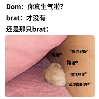 这张梗图上方是Dom和brat的对话，Dom问brat是否真的生气了，brat嘴硬说没有。下方图片中，一只小仓鼠躲在粉色毯子下，旁边是人的腿部，仓鼠周围有多个文字气泡，内容都是骂人的话：“戳你屁股”、“臭爹”、“狗爹”、“傻猪猪爹”、“趁你虚要你命”。通过可爱的仓鼠形象和反差的骂人内容形成幽默效果，展现了嘴上说不生气但身体很诚实的傲娇状态。