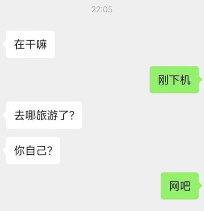 这是一张社交软件聊天记录截图，展示了典型的跨服聊天误会场景：白色气泡的发言者先询问对方在做什么，绿色气泡的发言者回复“刚下机”，白色气泡方误以为对方是刚乘坐飞机落地，于是接连询问对方去哪里旅游、是不是独自出行，最后绿色气泡方回复“网吧”，揭晓此处的“下机”实际是指在网吧使用完电脑结束上网的操作，二者理解完全不在同一频道，产生了搞笑的错位效果。