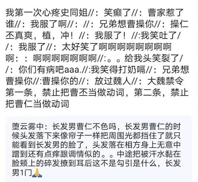 这张图片是两段社交媒体上的文字内容，第一段是多名网友围绕曹魏人物曹操、曹丕、曹仁的名字进行玩梗，将人物名字直接作为动词使用，比如“兄弟想曹操你”“操仁丕真爽”，还调侃式地提出“大魏禁令”，禁止把曹丕、曹仁的名字当做动词，整体氛围搞笑戏谑，充满了网络玩梗的趣味；第二段是用户“堕云雾中”对长发版曹仁的同人形象进行花痴式描述，详细描绘了长发曹仁的撩人细节，比如头发像帘子挡光、蹭到相方像调情、撩碎发的动作像勾引等，表达了对该同人形象的喜爱，自称“长发男1门”。