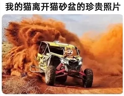 图片上方配有文字“我的猫离开猫砂盆的珍贵照片”，下方是一张经过合成的搞笑图片：一辆黄色越野车在沙漠中高速行驶，扬起巨大的橙色尘土，驾驶座上被P上了一个猫的头部，猫表情专注，仿佛正“霸气”地离开猫砂盆。通过夸张的越野车扬尘场景，幽默地调侃猫咪离开猫砂盆时往往会带出大量猫砂的真实情况，营造出搞笑、夸张的效果。