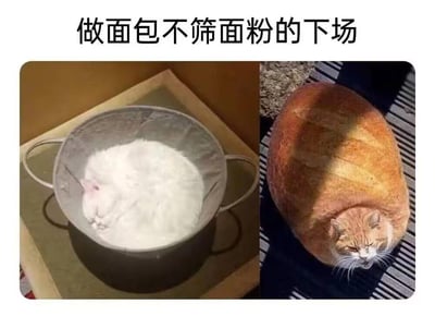 这是一张左右拼接的趣味梗图，上方配有文字“做面包不筛面粉的下场”。左侧画面中，一只白色猫咪蜷缩在装有面粉的金属筛网容器里，猫咪的白色毛发和面粉融为一体，看起来就像是未经过筛的面粉原料；右侧画面里，一只橘色猫咪的身体被P成了烤好的椭圆形面包的样子，只露出带着无奈烦躁表情的头部，仿佛是“没筛面粉就烤出来的失败面包”。整张图利用猫咪和面粉、面包的视觉相似性玩梗，用夸张的二次创作调侃烘焙时不按步骤操作的“后果”，通过可爱宠物的反差形象制造搞笑效果，充满趣味性。