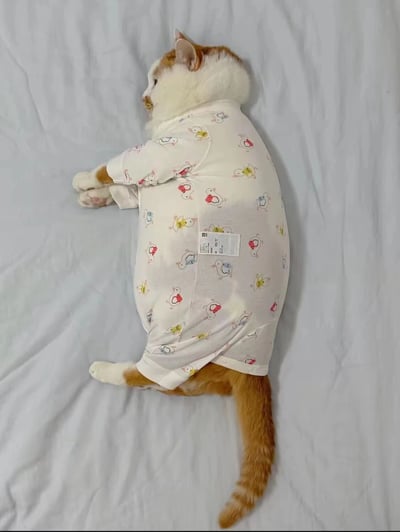 一只橘白相间的猫咪侧躺在白色床单上，全身穿着印有彩色小卡通图案的白色连体衣，四肢自然伸展，姿态放松，头部微微向左转，展现出慵懒可爱的模样。整体画面温馨治愈，凸显了宠物穿着服装的萌趣瞬间。