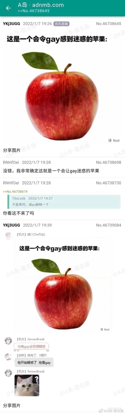 这是来自A岛匿名版（adnmb.com）的竖屏论坛帖子截图，属于“欢乐恶搞”板块，发布于2022年1月7日。楼主YKj3UGG发布了一张红色苹果的图片，配文“这是一个会令gay感到迷惑的苹果”，该苹果的外形视觉上容易让人联想到男性臀部，从而针对特定群体制造趣味联想梗。后续有多位用户在帖子下互动：用户RNHfOei附和楼主的说法，用户73xLosb作为非男同群体询问梗的含义，RNHfOei调侃“你看这不来了吗”；楼主随后又发布了一张包含聊天记录的截图，聊天中用户【机炎】XerxesBreak询问该梗的原因，用户【创树】转完了，0提升则用“他开始疑惑了 他是gay”的闭环逻辑玩梗，最后【机炎】XerxesBreak发送了一张疑惑表情的猫图，进一步强化了这个趣味恶搞的互动。截图中多处带有“@A岛-匿名版”的水印，苹果图右下角标注“译 ftml”，底部还有“肥宅快乐墙”的标识，整体是图文混排的形式，通过视觉错位和群体相关的趣味逻辑制造笑点，属于典型的网络迷因类内容。