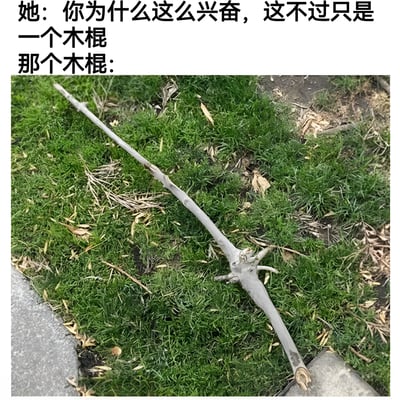 图片上方有两行文字对话，第一行是"她：你为什么这么兴奋，这不过只是一个木棍"，第二行是"那个木棍："，下方是一张木棍躺在草地上的照片。通过拟人化手法制造幽默效果，暗示这个看似普通的木棍可能有特殊之处或自我认知。