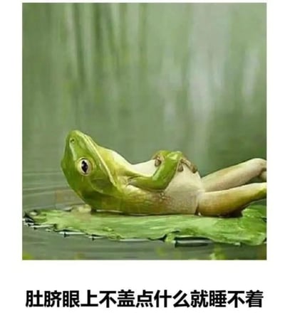 一只绿色青蛙仰卧在水面的荷叶上，身体微微倾斜，双手放在肚子上，眼神放松，姿态慵懒。图片下方配有文字“肚脐眼上不盖点什么就睡不着”，将青蛙拟人化，幽默地模仿人类需要盖住肚脐眼才能安心入睡的生活习惯，营造出可爱又搞笑的氛围。