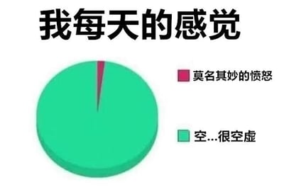 一张用饼图幽默展示日常情绪的梗图，标题为“我每天的感觉”。饼图中绝大部分区域（绿色）标注为“空...很空虚”，仅有极小一块红色区域代表“莫名其妙的愤怒”，通过夸张的比例对比，调侃现代人内心空虚为主、偶发无名火的状态。