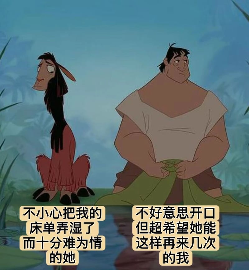 帕查