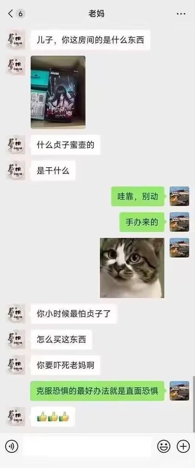 这是一段母子的微信聊天记录截图，老妈在儿子房间发现了标注“贞子蜜壶”的物品，随即询问儿子这是什么，还提到儿子小时候最怕贞子，吐槽买这个东西吓人。儿子慌忙解释是手办，还发送了一张惊恐的猫咪表情包，最后用“克服恐惧的最好办法就是直面恐惧”来回应，成功糊弄过老妈，老妈还给了点赞。
注：“贞子蜜壶”实际是成人情趣用品，儿子谎称是手办来掩饰，这是这个梗的笑点核心。