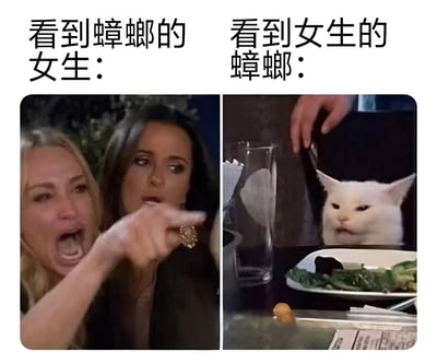 左右对比图展示了女生看到蟑螂和蟑螂看到女生的不同反应。左图中两名女性表情惊恐，一人手指前方作尖叫状；右图中一只白猫表情淡定地从物体后探出头，幽默地代表蟑螂视角。通过拟人化手法形成有趣反差。