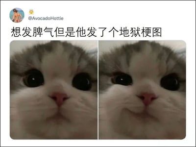 这是一张社交媒体截图，展示了一个Twitter用户@AvocadoHottie发布的内容。截图上方有用户头像和用户名，中间是文字内容："想发脾气但是他发了个地狱梗图"。下方是两张并排的猫咪面部特写照片，左侧照片中猫咪表情较为严肃，右侧照片中猫咪嘴角有极其轻微的上扬，形成几乎难以察觉的微笑表情。这种两张图片仅有细微差别的形式被称为"地狱梗图"，因为很难发现其中的差异，会让人感到抓狂又好笑。