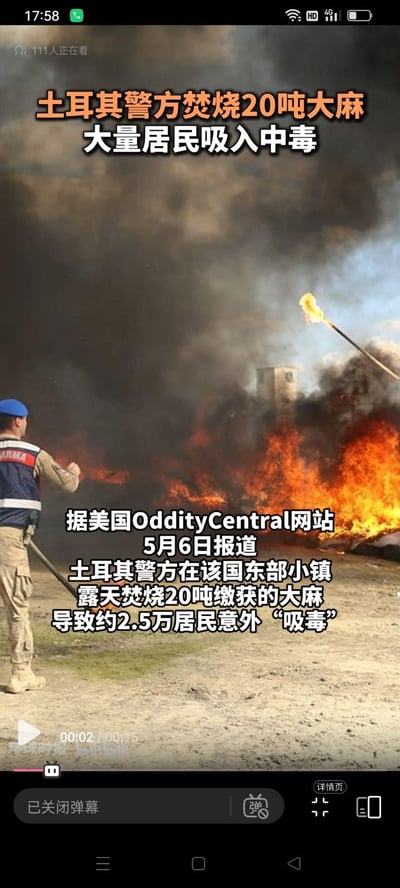 这是一则新闻视频截图，画面呈现土耳其警方人员在露天场地点燃大量大麻的场景，现场火势旺盛、浓烟弥漫。据报道，土耳其警方在该国东部小镇露天焚烧20吨缴获的大麻，导致约2.5万居民吸入烟雾后出现中毒症状，相当于意外“吸毒”，这一乌龙事件充满荒诞感。