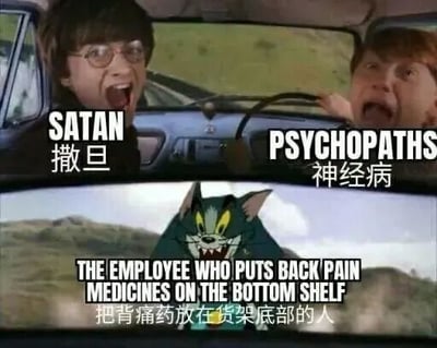 图片上半部分是《哈利·波特》电影中的哈利·波特和罗恩·韦斯莱在车内惊恐大喊的场景，分别被标注为'SATAN 撒旦'和'PSYCHOPATHS 神经病'；下半部分是《乐一通》动画中的希尔维斯特猫露出凶狠表情，配文'THE EMPLOYEE WHO PUTS BACK PAIN MEDICINES ON THE BOTTOM SHELF 把背痛药放在货架底部的人'。通过夸张对比，幽默吐槽把常用药品放在难以够到的货架底部的行为，引发共鸣。
