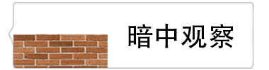 暗中观察表情包动态图