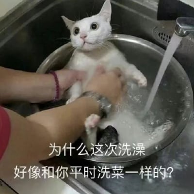 一只白猫正被人放在厨房水槽的金属盆中洗澡，猫咪瞪大双眼，表情充满惊讶和疑惑。人类的双手正在给猫涂抹泡沫，水龙头还在往盆里放水。图片底部配有文字：“为什么这次洗澡好像和你平时洗菜一样的？”，以猫咪的视角幽默吐槽洗澡体验，将给猫洗澡的动作与洗菜类比，营造出滑稽有趣的效果。