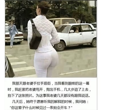 图片展示了街头一幕：一名身着白色套装的女子正走在斑马线上，背景中一辆白色轿车的驾驶座车窗内，有一条狗探出头来。图片下方配有幽默文字，讲述男子与妻子逛街时，因看到“狗开车”的场景而甩开妻子拍照，导致妻子生气冷战，几天后男子用“你这辈子什么时候见过一条狗会开车？”的神解释回应的故事。整体通过反差行为和意外解释制造喜剧效果。