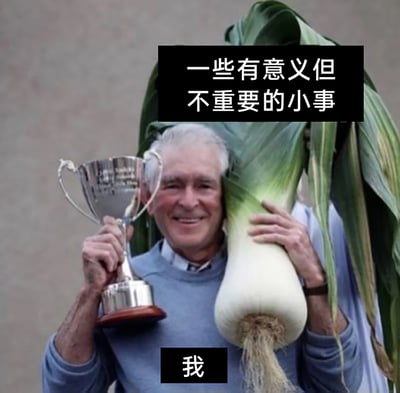 这是一张经过文字加注的搞笑梗图，图中一位白发老人面带灿烂的笑容，神情十分自豪愉悦，他左手抱着一个体型远超常规的巨型韭葱类蔬菜，右手举着一座银色奖杯，将两者都放在身侧展示。图片上方配有文字“一些有意义但不重要的小事”，下方标注“我”，用这个获奖的场景来调侃自己，把自己投入热情去完成的、在他人眼中无关紧要的小事，比作这个巨型蔬菜获奖的事件，以幽默自嘲的方式表达对这类“小事”的重视，很容易引发人们的共鸣。