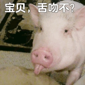 图片中是一只白色的小猪，它正抬头伸着粉色的舌头，表情俏皮。图片上方配有文字“宝贝，舌吻不？”，通过动物拟人化的方式制造幽默效果，带有土味情话的调侃意味。