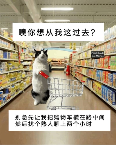 这是一张经过P图改编的搞笑拟人化梗图，场景设置在摆满商品的超市货架通道中，一只黑白花色的猫咪直立起身，前爪搭在小型购物车的红色把手上，占据了通道的核心位置，仿佛在阻拦他人通行。图中配有两段连贯的中文文案，上方为“噢你想从我这过去？”，下方为“别急先让我把购物车横在路中间然后找个熟人聊上两个小时”，通过猫咪的拟人化行为，幽默调侃了现实生活中常见的、有人在公共通道随意占道聊天，阻碍他人通行的烦人又无奈的场景，用可爱的猫咪形象消解了这种行为的负面感，增添了搞笑效果。