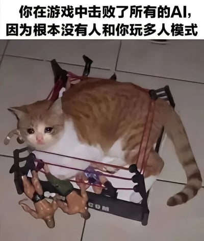 图片上方有黑色文字'你在游戏中击败了所有的AI，因为根本没有人和你玩多人模式'，下方是一只橘白相间的猫躺在小型玩具摔跤环中，周围有几个小玩偶，猫咪眼神无辜，整体营造出一种因无人一起玩多人游戏而只能与AI对战的孤独又搞笑的氛围。
