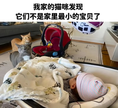 图片展示了一个温馨又有趣的家庭场景。两只猫咪（一只橘猫和一只灰猫）正好奇地盯着躺在婴儿座椅中的小宝宝，表情中带着一丝警惕和困惑。宝宝被白色带有花纹的毯子包裹着，戴着条纹帽子正在熟睡。背景中可以看到红色的婴儿车和客厅环境。图片上方配有文字“我家的猫咪发现它们不是家里最小的宝贝了”，幽默地表现了宠物在家庭新成员到来后的反应。