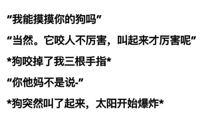 这是一张纯文字梗图，展示了一段充满荒诞反差的对话。有人礼貌询问“我能摸摸你的狗吗”，狗主人轻松回应“当然。它咬人不厉害，叫起来才厉害呢”，然而下一秒剧情急转直下——狗咬掉了询问者三根手指。当询问者愤怒质疑时，更离谱的场景出现：狗突然叫起来，太阳竟然开始爆炸。通过日常场景与极端荒诞后果的强烈对比，制造出黑色幽默和无厘头的搞笑效果。