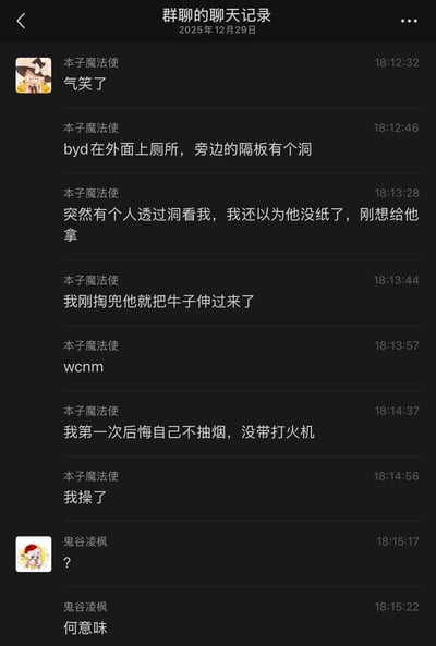 这是一张群聊聊天记录截图，展示了用户"本子魔法使"分享的一次令人不适的厕所经历。该用户描述自己在公共厕所时，发现旁边隔间的隔板上有个洞，起初以为对方没纸想帮忙，结果却看到有人将生殖器伸了过来。用户表达了愤怒和震惊的情绪，甚至提到后悔没带打火机（暗示可能想用它进行防御）。另一位群成员"鬼谷凌枫"则表示困惑，询问"何意味"（什么意思）。整个对话充满了强烈的情绪反应和令人不安的情节描述。