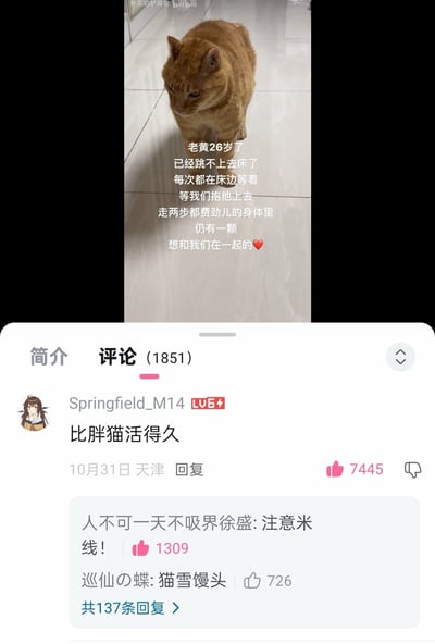 这张图由两部分组成，上方是一只名叫老黄的26岁橘猫的实拍画面，配文介绍它因年纪太大跳不上床，只能等待主人抱它上床，即便身体虚弱，依然渴望陪伴主人；下方是B站的评论区截图，用户「Springfield_M14」的评论「比胖猫活得久」获7445赞，还有其他用户玩谐音梗回复「注意米线！（谐音‘底线’）」「猫雪馒头（谐音‘人血馒头’）」，用网络热梗调侃这只长寿的猫咪。

谐音梗说明：「米线」是「底线」的谐音，「猫雪馒头」是「人血馒头」的谐音，用户借此玩梗调侃这只猫咪的长寿引发的讨论。