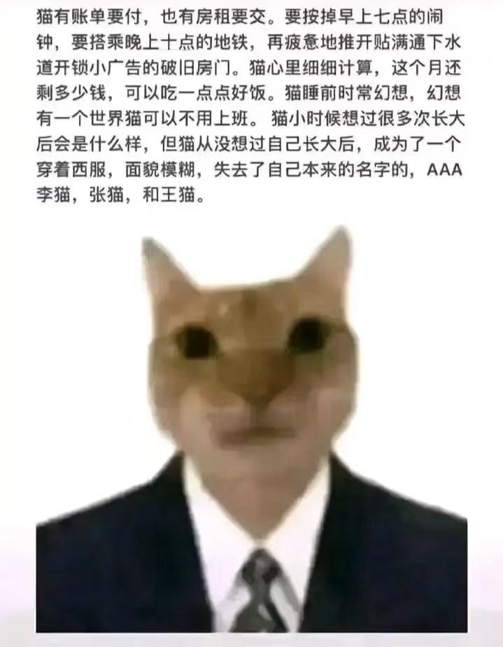 小猫文学meme