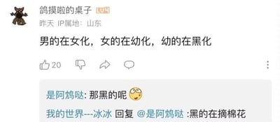 社交媒体截图展示了一条存在不当内容的评论线程。用户"鸽摸啦的桌子"发布了关于不同群体的概括性言论，随后评论区出现了涉及种族刻板印象的不当回复"黑的在摘棉花"，该表述带有对黑人的歧视性暗示。