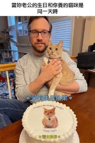 图片中一名戴眼镜的男子坐在桌前，双手抱着一只橘色猫咪。桌上放着一个生日蛋糕，蛋糕表面印有猫咪的照片和文字“Happy Birthday Molly! (and Tim)”。图片顶部有文字“當妳老公的生日和你養的貓咪是同一天時”，猫咪下方有“*茉莉生日快樂*”，蛋糕底部有“*還有提姆*”。整体场景幽默地展现了猫咪生日被重点庆祝，而老公名字被括号附带提及的有趣对比，体现了宠物在家庭中的“特殊地位”。