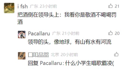 这是一张社交媒体评论区的静态截图，展示了三条围绕职场相关话题展开的趣味评论。第一条来自广东用户“i fsh”的评论内容为“把酒倒在领导头上: 我看你是敬酒不喝喝罚酒”，获得21个点赞；第二条是广东用户“Pacallaru”用打油诗形式调侃的“领导的头，像地球，有山有水有河流”，获得20个点赞；第三条是北京用户“口叩品晶”回复“Pacallaru”，吐槽其评论风格类似“小学生唱歌霸凌”。整体内容以夸张、戏谑的方式对职场场景进行调侃，通过打油诗和吐槽制造轻松搞笑的氛围。