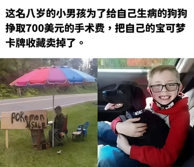 图片分为左右两部分，左侧显示一个小男孩在路边撑开彩色遮阳伞摆摊售卖宝可梦卡牌，旁边立着写有"POKEMON FOR SALE"的木牌；右侧是男孩在车内抱着黑色狗狗的温馨画面。上方文字讲述了八岁男孩为给生病狗狗筹集700美元手术费而卖掉自己宝可梦卡牌收藏的感人故事。