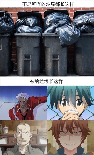 这张梗图分为上下两部分，上半部分是几只装满黑色垃圾袋的垃圾桶，下方配文“不是所有的垃圾都长这样”；下半部分是《动漫》作品中几个人物表情的拼图，对应文字“有的垃圾长这样”。梗图通过对比结构，用“垃圾”比喻某些令人厌烦的动漫角色，把他们和真实垃圾桶作类比，表达对这些角色的轻蔑或嘲讽。整体风格偏搞笑、讽刺，有一定的网络用语与暗示，对二次元文化有一定相关性。