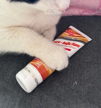 一只白色带有黑色斑纹的猫咪正趴在深色布料上，它的一只爪子轻轻搭在一管Wet Stuff品牌的润滑剂上。润滑剂包装为橙色和白色相间，上面印有"Sauce - Baijiu Flavor"（白酒味）字样，以及"since 1982"和"water-based personal lubricant"等说明文字。猫咪表情放松，似乎对这个特殊味道的产品产生了好奇。背景中可以看到一部分粉色的毯子，整体画面呈现出一种意外又有趣的氛围。