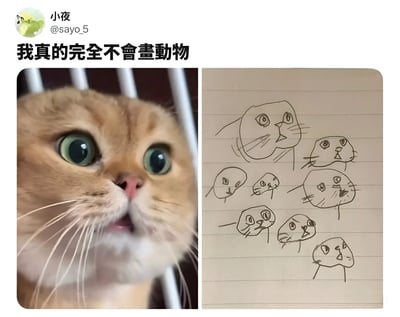 图片分为左右两部分，左侧是一只表情惊讶的橘猫特写，它有着大大的绿色眼睛和微张的嘴巴；右侧是笔记本上的多张猫咪简笔画，线条简单粗糙，与左侧真实猫咪形成有趣对比。上方配有文字'我真的完全不會畫動物'，表达了作者对自己绘画能力的自嘲。