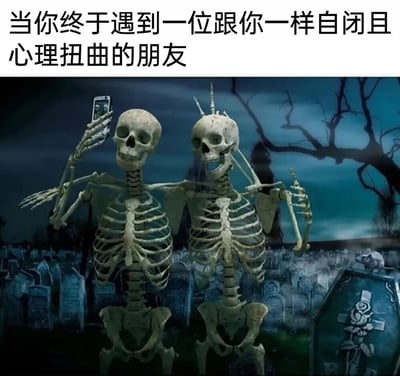 图片上方配有文字'当你终于遇到一位跟你一样自闭且心理扭曲的朋友'，下方是两个骷髅在墓地中自拍的场景。背景为阴森的墓地，布满墓碑、枯树和昏暗天空，左侧骷髅举着手机自拍，右侧骷髅搭着同伴肩膀，两者均呈现出类似人类社交的姿态。通过骷髅象征'社交死亡'或极端社恐状态，用黑暗场景与幽默文字结合，自嘲式表达社交恐惧者找到同类朋友的特殊喜悦，属于典型的黑色幽默梗图。