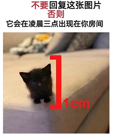 图片上方有红色和黑色文字警告：“不要回复这张图片 否则 它会在凌晨三点出现在你房间”。下方是一张实拍照片，内容为一只体型极小的黑色小猫坐在浅色沙发上，旁边有红色的1cm刻度标识，直观展示小猫的迷你尺寸。整体通过可爱的 tiny 猫咪与“恐怖警告”形成反差萌，制造幽默效果。