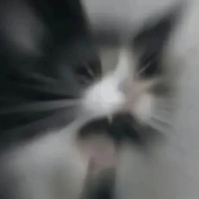 这是一张高度模糊的猫咪照片，画面中可以隐约辨认出一只黑白相间的猫。由于严重的运动模糊效果，猫咪的具体特征难以清晰识别，只能看到大致的轮廓，包括耳朵和身体的大致形状。猫咪似乎正在快速移动，导致整个画面呈现出动态模糊的效果，中心区域亮度较高，可能是猫咪的脸部位置。
